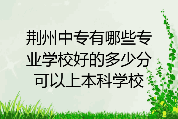 荆州中专有哪些专业学校好的多少分可以上本科学校