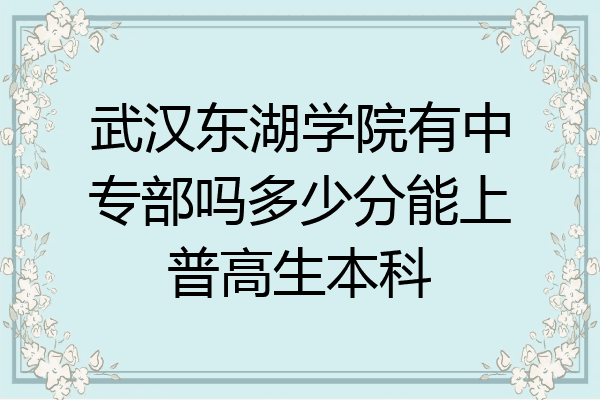 武汉东湖学院有中专部吗多少分能上普高生本科