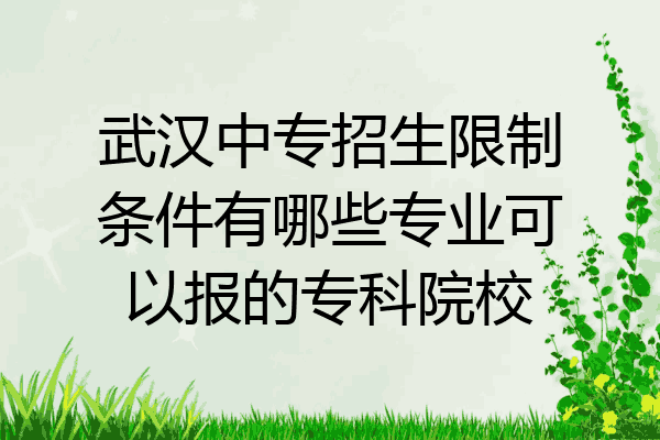 武汉中专招生限制条件有哪些专业可以报的专科院校