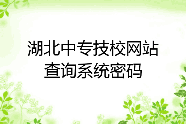 湖北中专技校网站查询系统密码