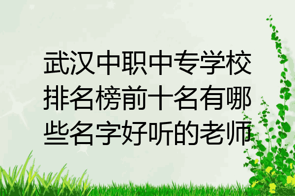 武汉中职中专学校排名榜前十名有哪些名字好听的老师