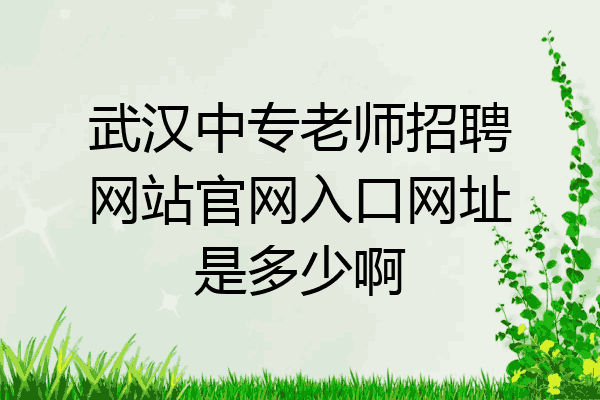武汉中专老师招聘网站官网入口网址是多少啊