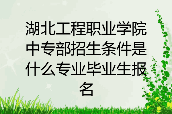 湖北工程职业学院中专部招生条件是什么专业毕业生报名