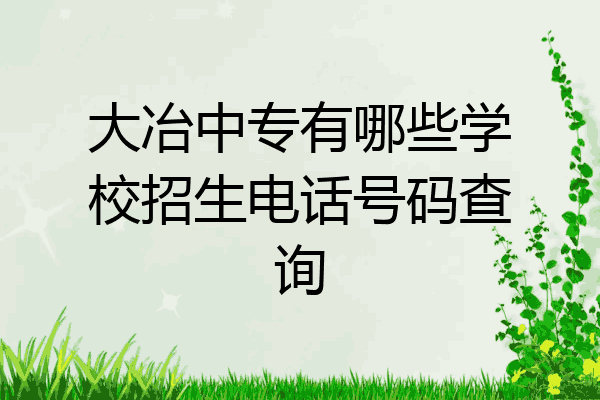 大冶中专有哪些学校招生电话号码查询