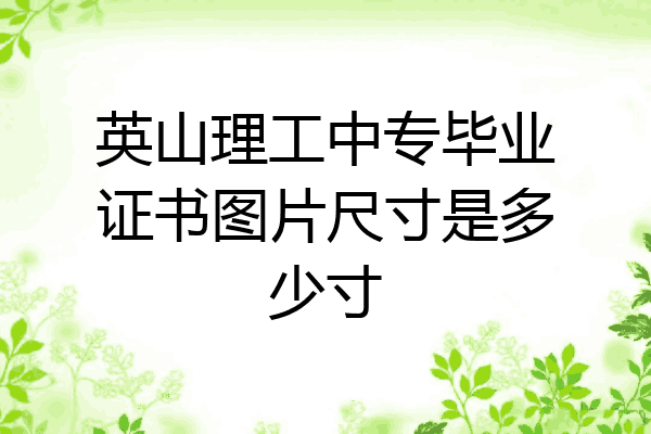 英山理工中专毕业证书图片尺寸是多少寸
