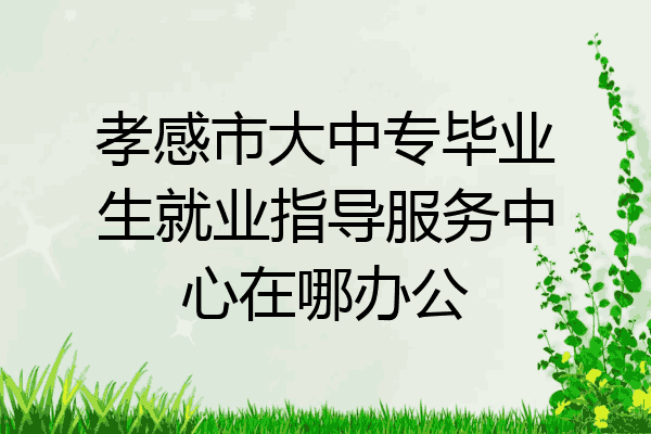 孝感市大中专毕业生就业指导服务中心在哪办公