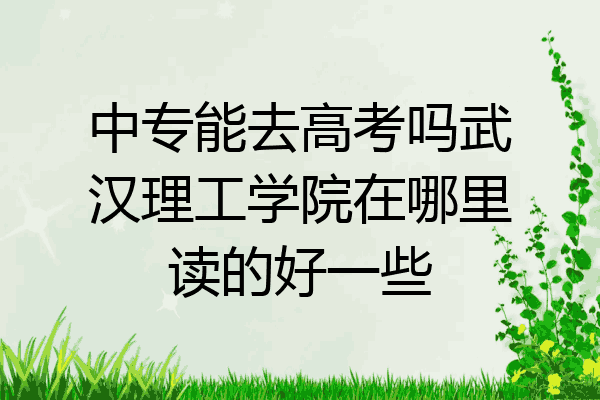 中专能去高考吗武汉理工学院在哪里读的好一些