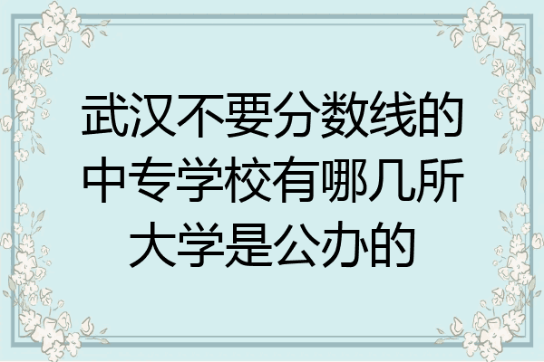 武汉不要分数线的中专学校有哪几所大学是公办的