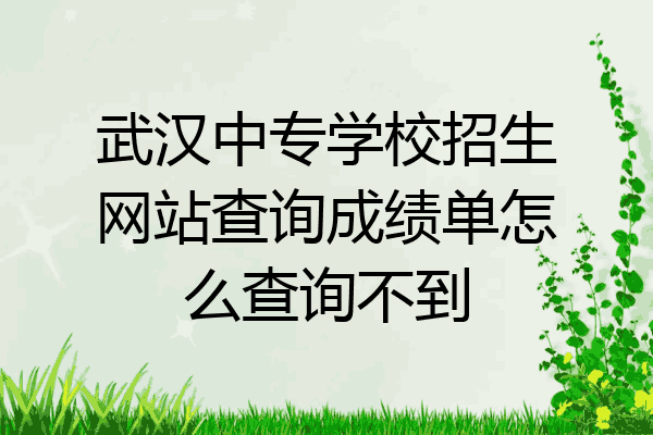 武汉中专学校招生网站查询成绩单怎么查询不到