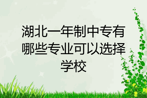 湖北一年制中专有哪些专业可以选择学校