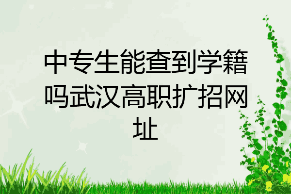 中专生能查到学籍吗武汉高职扩招网址