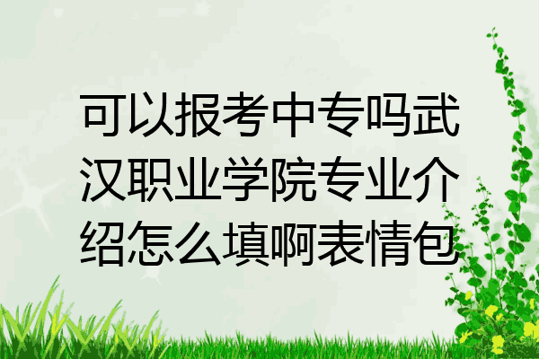 可以报考中专吗武汉职业学院专业介绍怎么填啊表情包