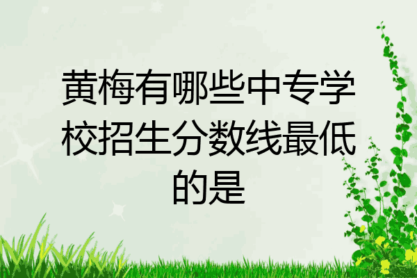 黄梅有哪些中专学校招生分数线最低的是