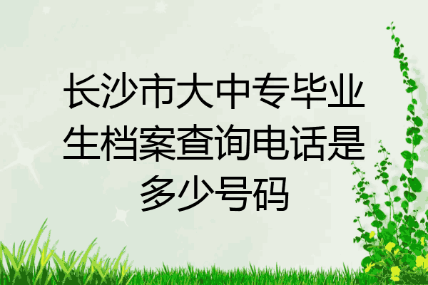 长沙市大中专毕业生档案查询电话是多少号码