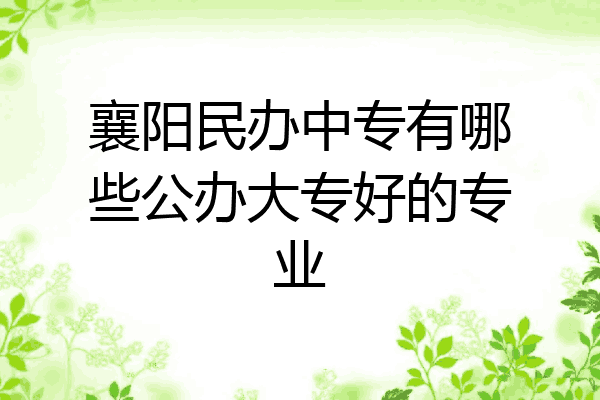 襄阳民办中专有哪些公办大专好的专业