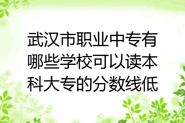 武汉市职业中专有哪些学校可以读本科大专的分数线低