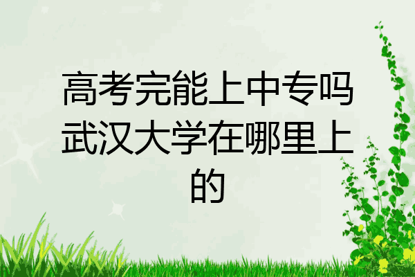 高考完能上中专吗武汉大学在哪里上的