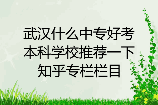 武汉什么中专好考本科学校推荐一下知乎专栏栏目