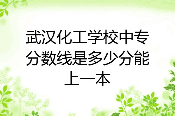 武汉化工学校中专分数线是多少分能上一本