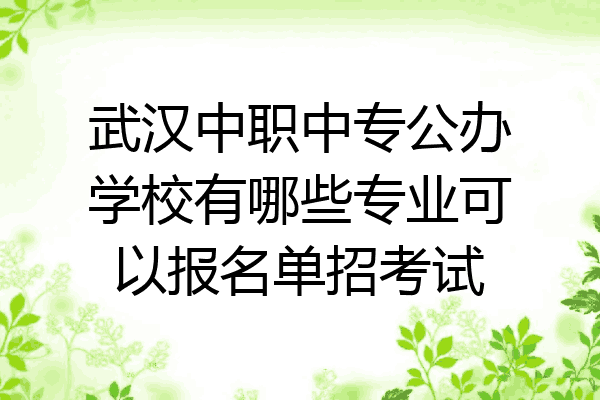 武汉中职中专公办学校有哪些专业可以报名单招考试