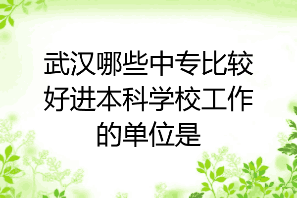 武汉哪些中专比较好进本科学校工作的单位是