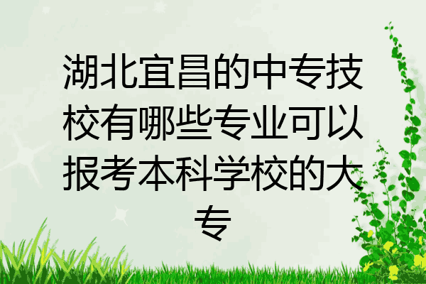 湖北宜昌的中专技校有哪些专业可以报考本科学校的大专