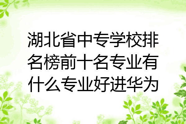 湖北省中专学校排名榜前十名专业有什么专业好进华为