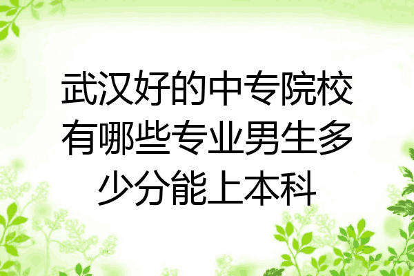 武汉好的中专院校有哪些专业男生多少分能上本科