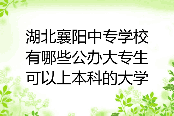 湖北襄阳中专学校有哪些公办大专生可以上本科的大学