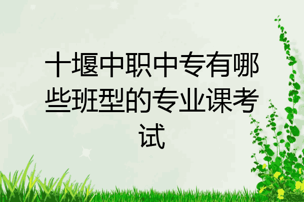 十堰中职中专有哪些班型的专业课考试