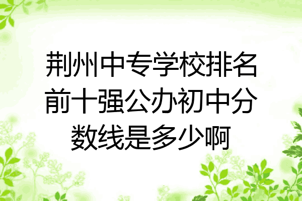 荆州中专学校排名前十强公办初中分数线是多少啊