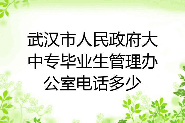 武汉市人民政府大中专毕业生管理办公室电话多少