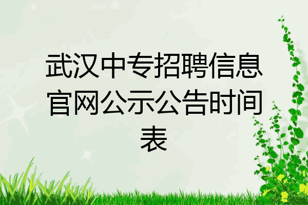 武汉中专招聘信息官网公示公告时间表