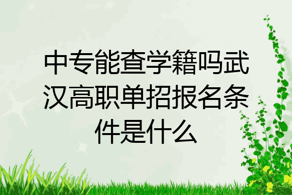 中专能查学籍吗武汉高职单招报名条件是什么