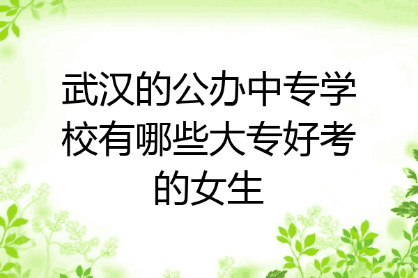 武汉的公办中专学校有哪些大专好考的女生