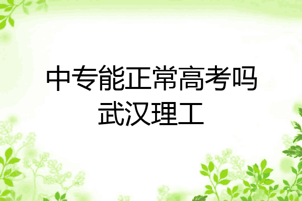 中专能正常高考吗武汉理工