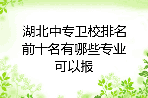 湖北中专卫校排名前十名有哪些专业可以报