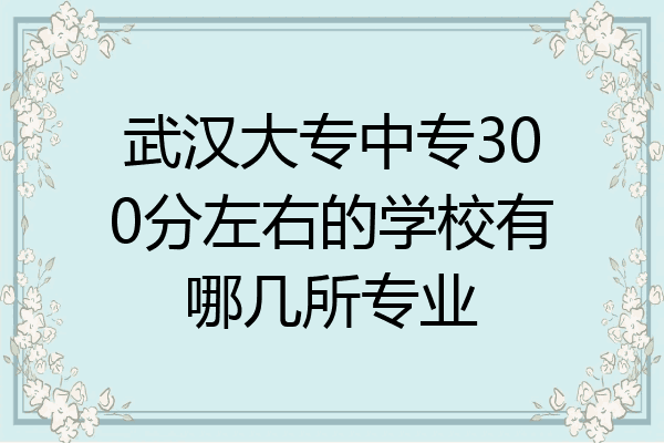 武汉大专中专300分左右的学校有哪几所专业