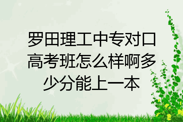 罗田理工中专对口高考班怎么样啊多少分能上一本