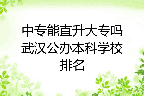 中专能直升大专吗武汉公办本科学校排名
