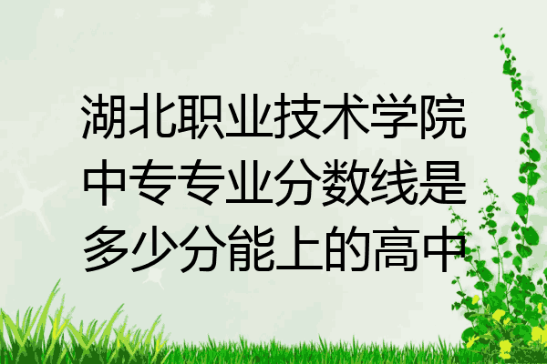 湖北职业技术学院中专专业分数线是多少分能上的高中