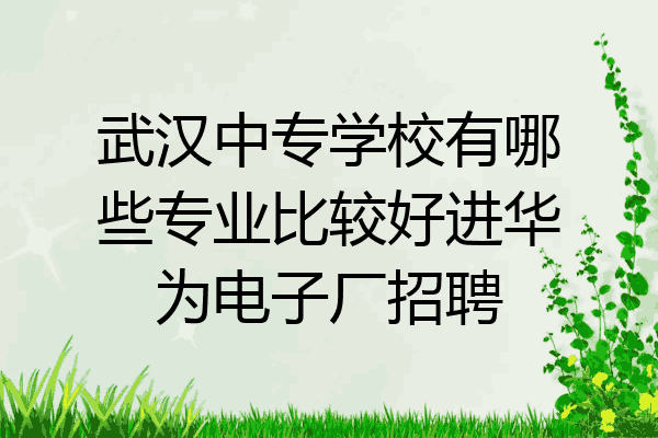 武汉中专学校有哪些专业比较好进华为电子厂招聘
