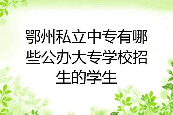 鄂州私立中专有哪些公办大专学校招生的学生