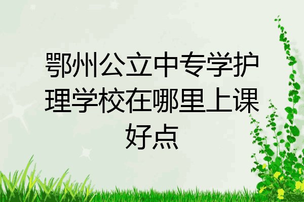 鄂州公立中专学护理学校在哪里上课好点