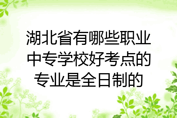 湖北省有哪些职业中专学校好考点的专业是全日制的