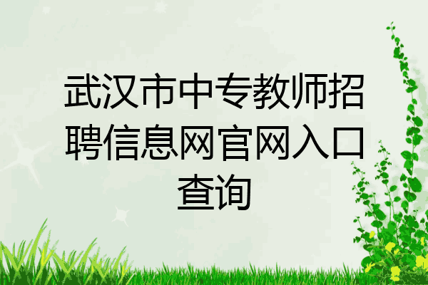 武汉市中专教师招聘信息网官网入口查询
