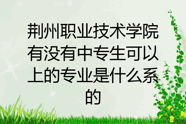 荆州职业技术学院有没有中专生可以上的专业是什么系的