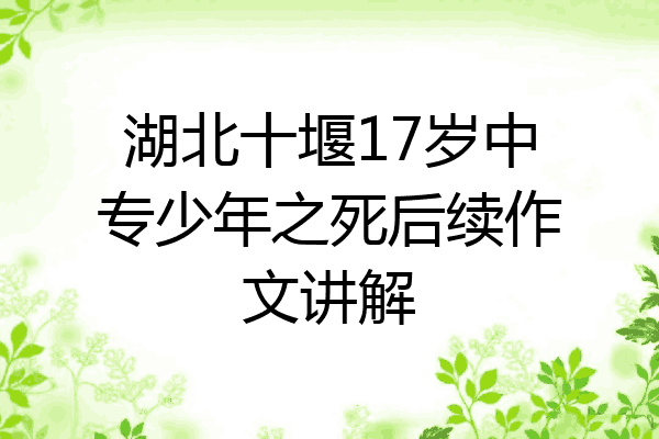 湖北十堰17岁中专少年之死后续作文讲解