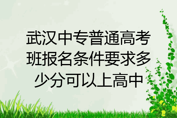 武汉中专普通高考班报名条件要求多少分可以上高中