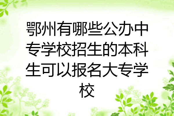 鄂州有哪些公办中专学校招生的本科生可以报名大专学校